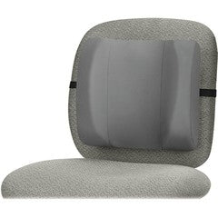 Fellowes Brand Standard Back Rest w/ adjustable strap, Graphite color